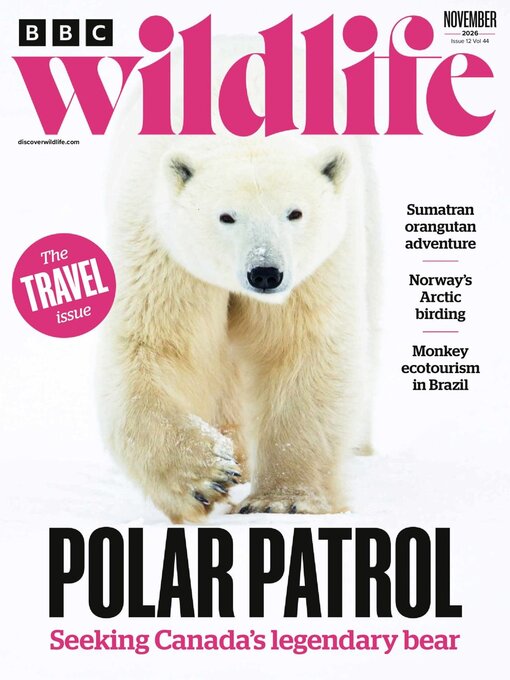 Cover image for BBC Wildlife Magazine